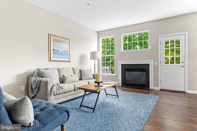 119 Fringetree Dr, West Chester, PA 19380 - living area featuring wood finished floors, a glass covered fireplace, and baseboards