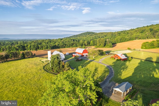 23350 Cedar Mountain Dr, Rapidan, VA 22733 - aerial view of property and surrounding area with a forest