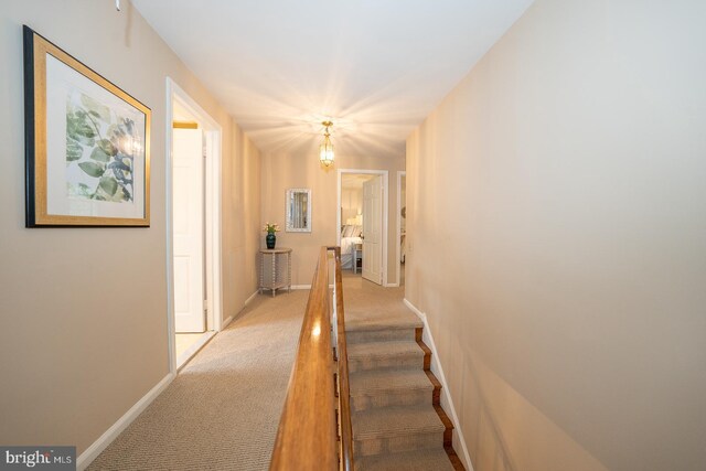 849 Milmar Rd, Newtown Square, PA 19073 - hallway with light colored carpet, an upstairs landing, and baseboards