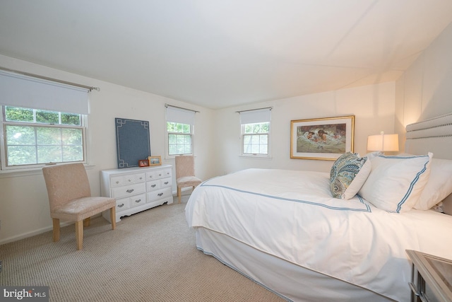 849 Milmar Rd, Newtown Square, PA 19073 - bedroom with light carpet and baseboards