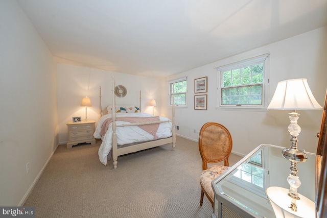 849 Milmar Rd, Newtown Square, PA 19073 - bedroom featuring light colored carpet and baseboards