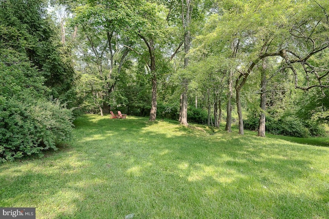 849 Milmar Rd, Newtown Square, PA 19073 - view of grassy yard with a view of trees