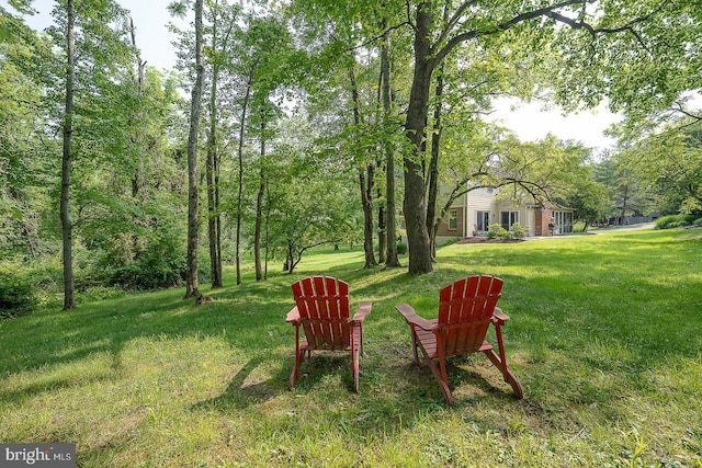849 Milmar Rd, Newtown Square, PA 19073 - view of grassy yard