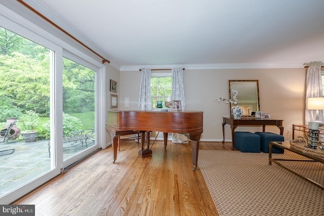 849 Milmar Rd, Newtown Square, PA 19073 - office area featuring ornamental molding, light wood-type flooring, and baseboards