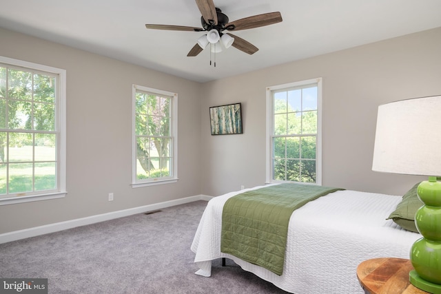 11307 Urieville Ln, Worton, MD 21678 - bedroom with baseboards, carpet flooring, and ceiling fan