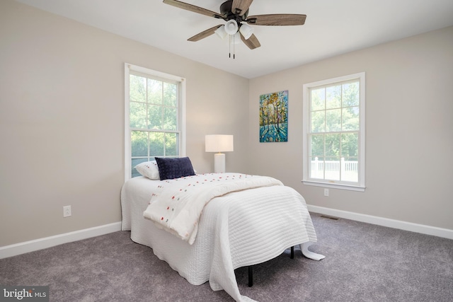 11307 Urieville Ln, Worton, MD 21678 - carpeted bedroom with baseboards and ceiling fan