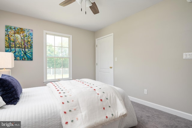 11307 Urieville Ln, Worton, MD 21678 - bedroom featuring carpet flooring, baseboards, and ceiling fan