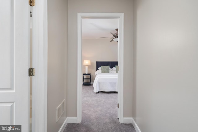 11307 Urieville Ln, Worton, MD 21678 - hall with carpet floors and baseboards
