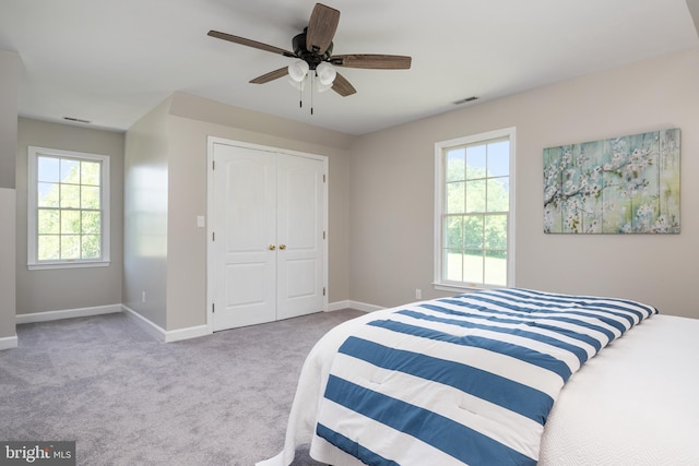 11307 Urieville Ln, Worton, MD 21678 - carpeted bedroom with multiple windows, baseboards, and a closet