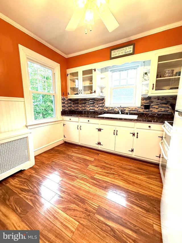 241 Edge Hill Rd, Glenside, PA 19038 - kitchen featuring a sink, dark countertops, a ceiling fan, tasteful backsplash, and ornamental molding