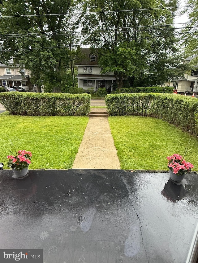 241 Edge Hill Rd, Glenside, PA 19038 - view of green lawn