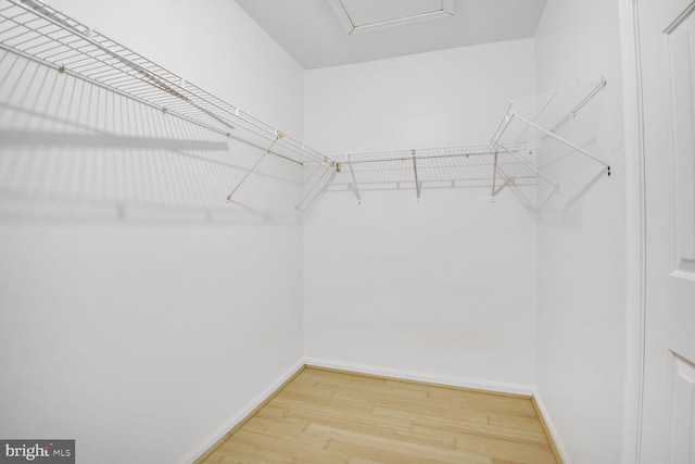 2605 Magdalene Acres Pl, Waldorf, MD 20603 - spacious closet featuring wood finished floors