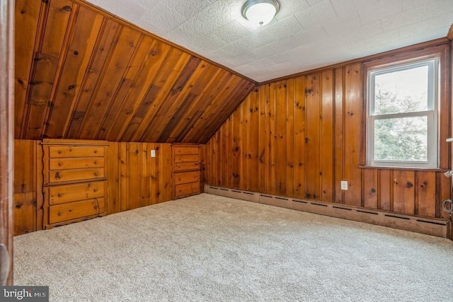 531 Jessamine Ave, Collingswood, NJ 08107 - bonus room featuring baseboard heating, carpet, vaulted ceiling, and wooden walls