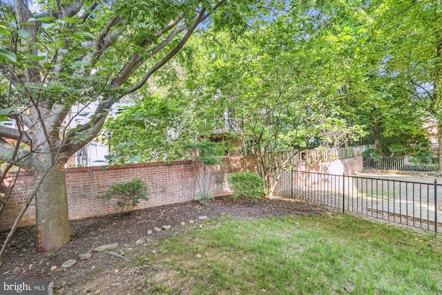 2227 N Albemarle St, Arlington, VA 22207 - view of fenced backyard