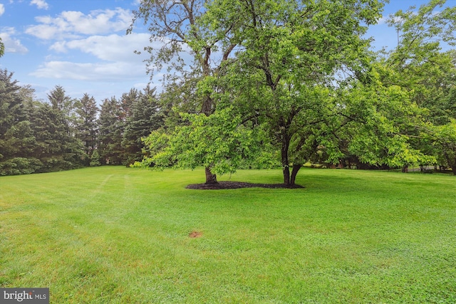 2740 Hunter Mill Rd, Oakton, VA 22124 - view of grassy yard with view of scattered trees