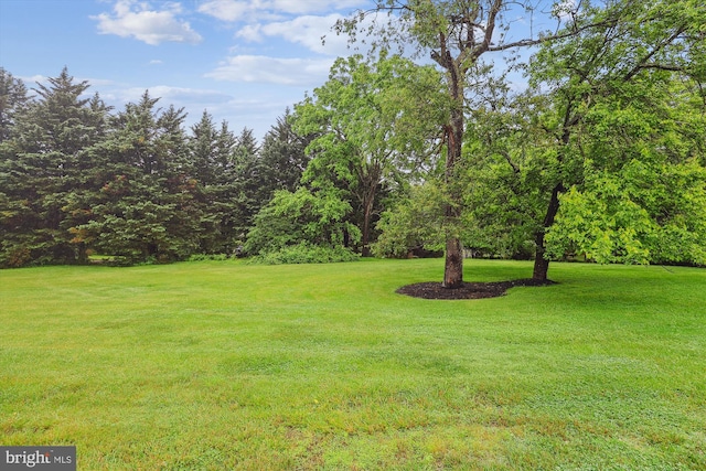 2740 Hunter Mill Rd, Oakton, VA 22124 - view of green lawn