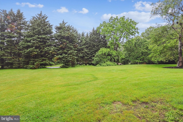2740 Hunter Mill Rd, Oakton, VA 22124 - view of green lawn