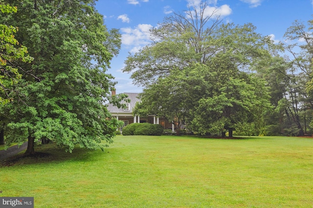 2740 Hunter Mill Rd, Oakton, VA 22124 - view of green lawn