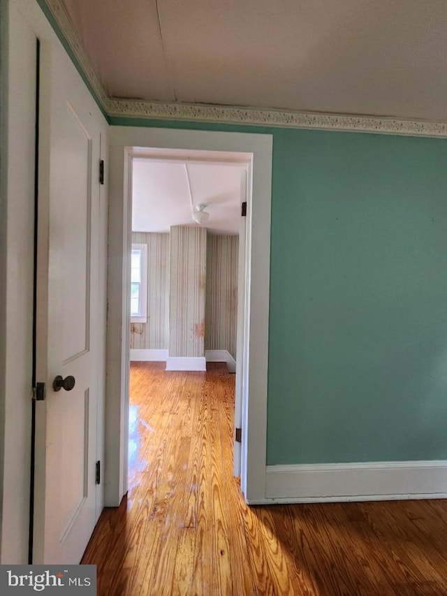6428 Quantico Rd, Quantico, MD 21856 - hall featuring wood finished floors and baseboards