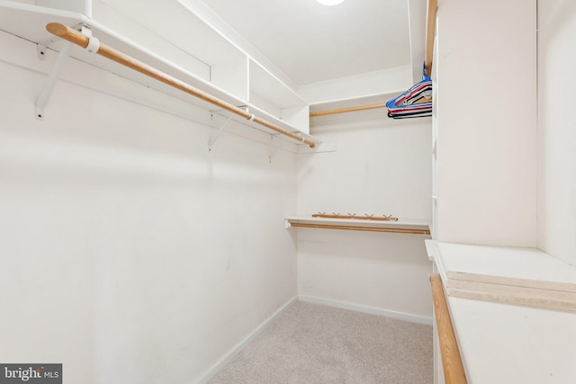 26140 Mullinix Mill Rd, Mount Airy, MD 21771 - spacious closet with carpet