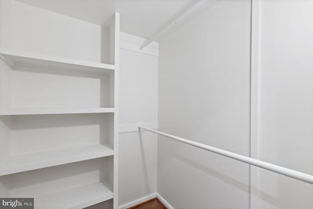 29 Stonehenge Cir Unit 6, Pikesville, MD 21208 - view of walk in closet
