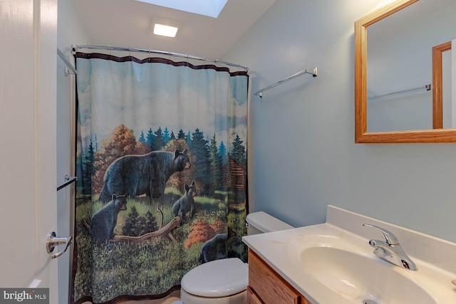 3523 Laurel Rd, James Creek, PA 16657 - bathroom with a skylight, toilet, vanity, and curtained shower
