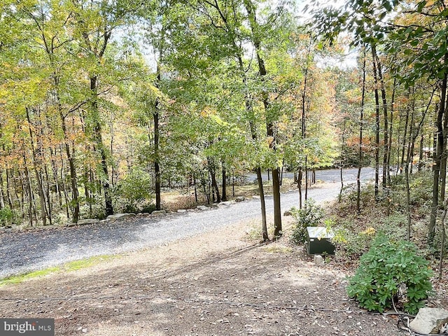 3523 Laurel Rd, James Creek, PA 16657 - view of street featuring a wooded view