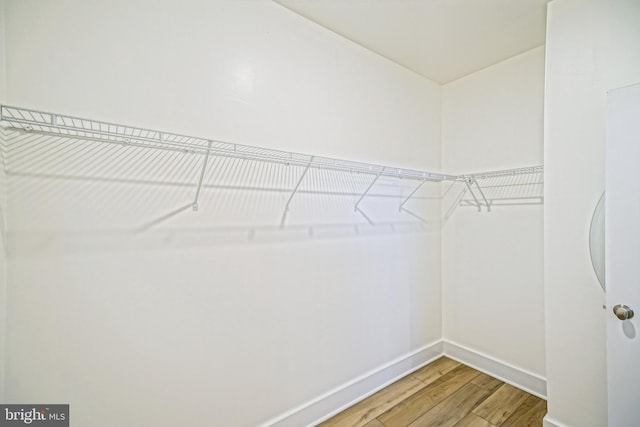 35024 Black Walnut Dr, Lewes, DE 19958 - walk in closet featuring light wood-style floors
