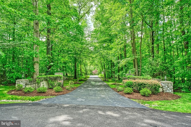 5026 Huntwood Manor Dr, Fairfax, VA 22030 - surrounding community with a view of trees