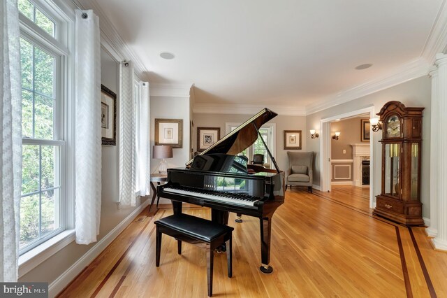 5026 Huntwood Manor Dr, Fairfax, VA 22030 - living area with ornate columns, light wood-type flooring, crown molding, and baseboards