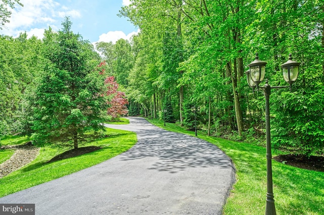 5026 Huntwood Manor Dr, Fairfax, VA 22030 - view of property's community featuring driveway and a forest view