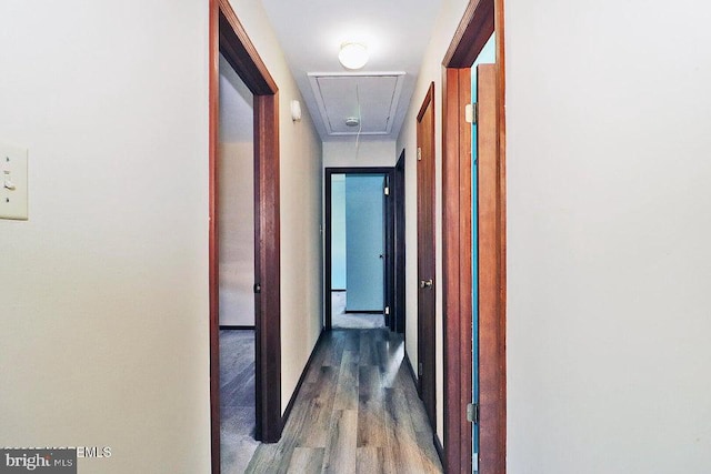 50 Nautilus Dr, Barnegat, NJ 08005 - hall featuring attic access, wood finished floors, and baseboards