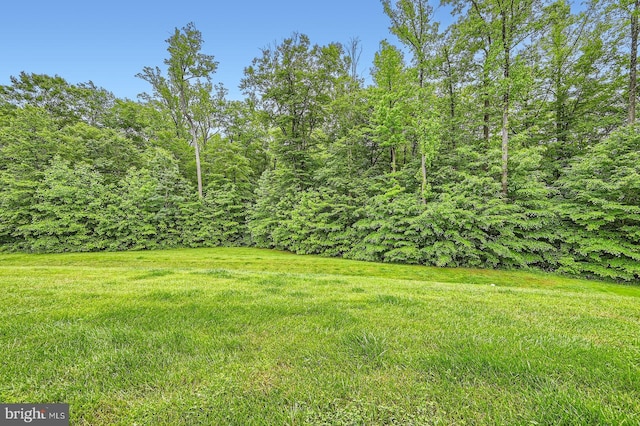 4827 Atlas Cedar Way, Aberdeen, MD 21001 - view of yard with a wooded view