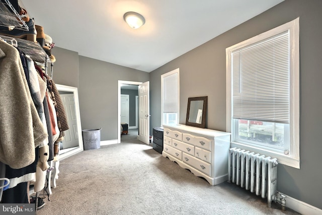 310 E S St, York, PA 17403 - walk in closet with radiator, carpet flooring, and vaulted ceiling