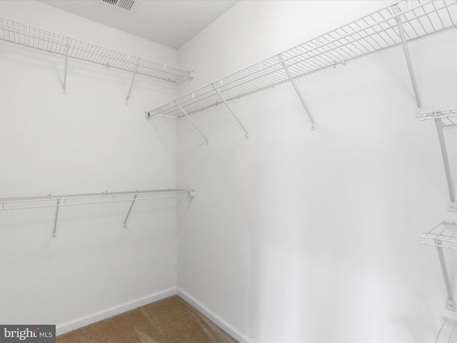 100 Norwood Dr, Falling Waters, WV 25419 - walk in closet with carpet