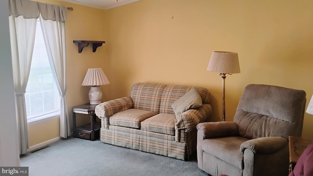 710 Mcginnis Dr Unit 710, Dover, DE 19901 - sitting room featuring carpet, baseboards, and ornamental molding