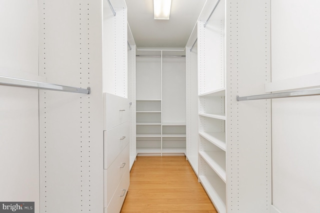 3839 Mulberry Point Ct, Dumfries, VA 22025 - spacious closet with light wood-type flooring