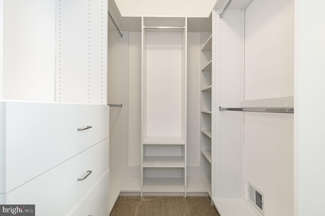3839 Mulberry Point Ct, Dumfries, VA 22025 - spacious closet with carpet floors