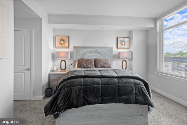 155 Potomac Psge Unit 809, Oxon Hill, MD 20745 - bedroom with carpet floors and baseboards