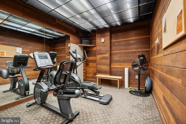700 7th St SW Unit 512, Washington, DC 20024 - exercise room with carpet and wooden walls