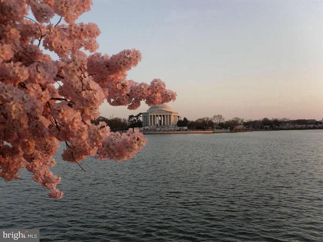 700 7th St SW Unit 512, Washington, DC 20024 - water view
