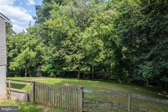 430 Cedar Creek Dr, Harpers Ferry, WV 25425 - view of yard