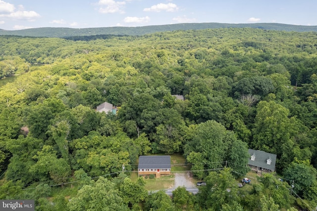 430 Cedar Creek Dr, Harpers Ferry, WV 25425 - aerial view of a forest