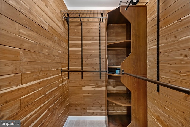 430 Cedar Creek Dr, Harpers Ferry, WV 25425 - view of spacious closet