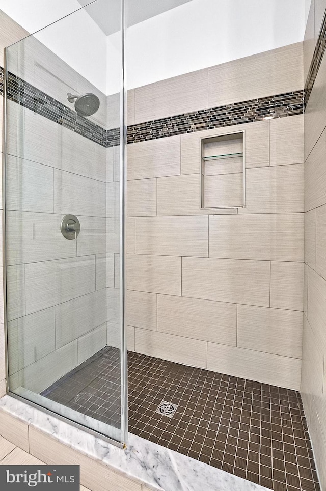 41 W Lemon St Unit 505, Lancaster, PA 17603 - full bathroom with a tile shower