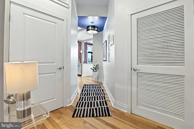 41 W Lemon St Unit 505, Lancaster, PA 17603 - hall with light wood finished floors and baseboards