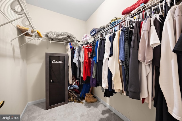 139 Flora Vista Ln, Woodstock, VA 22664 - spacious closet featuring carpet flooring