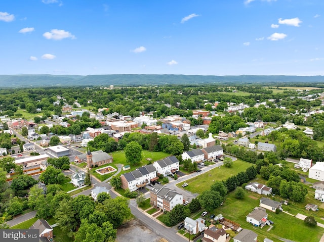 139 Flora Vista Ln, Woodstock, VA 22664 - aerial perspective of suburban area