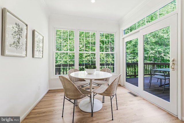 1251 Wild Hawthorn Way, Reston, VA 20194 - view of sunroom / solarium