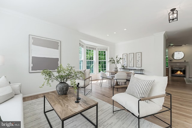 1251 Wild Hawthorn Way, Reston, VA 20194 - living area with crown molding, a glass covered fireplace, light wood finished floors, a ceiling fan, and baseboards